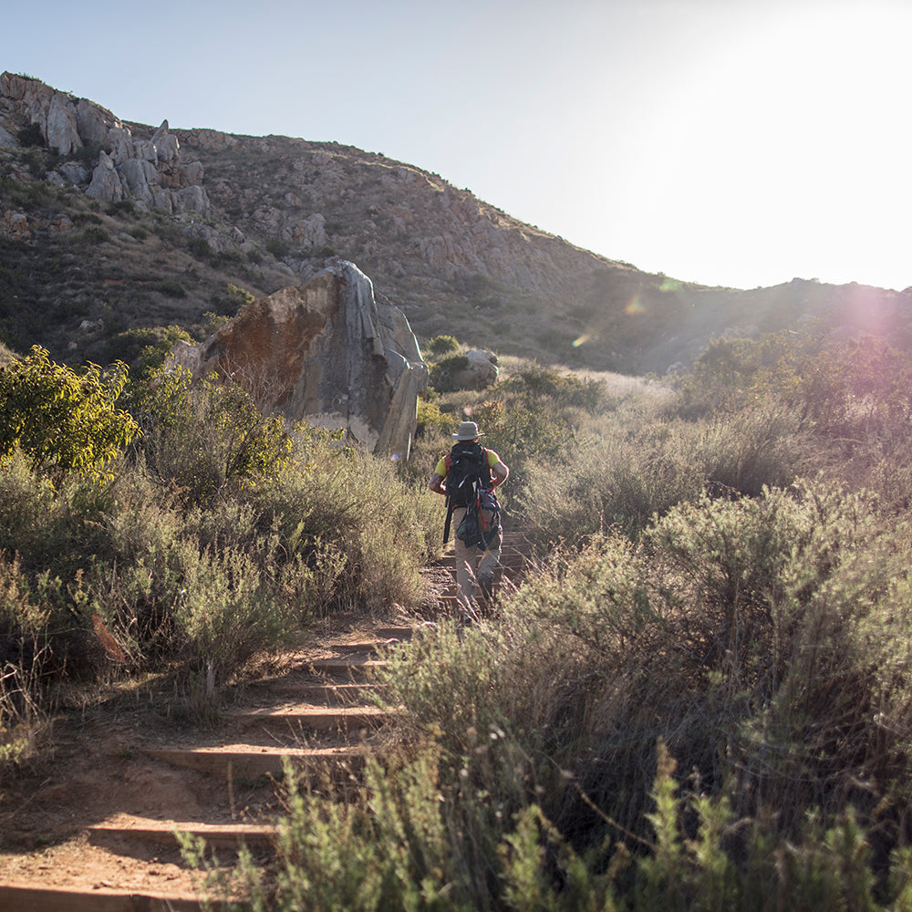 Sombrero Charter Escape de Sunday Afternoons - Arena