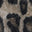 Swatch image for 106578