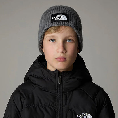 Gorro Beanie niños TNF Box Logo con vuelta con vuelta de The North Face - Gris Medio