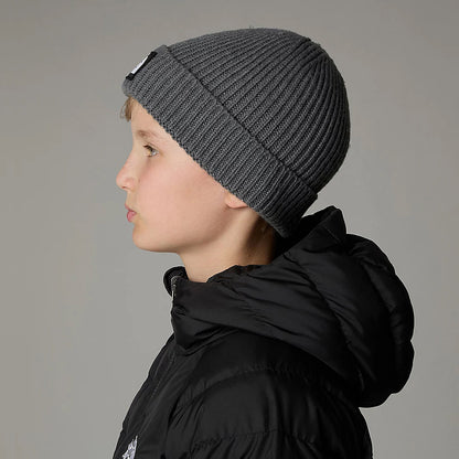 Gorro Beanie niños TNF Box Logo con vuelta con vuelta de The North Face - Gris Medio