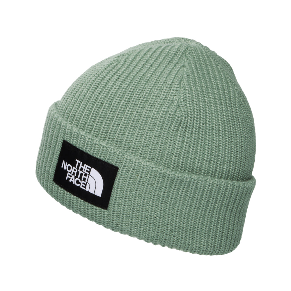 Gorro Beanie niños Salty Forrado Reciclado de The North Face - Salvia