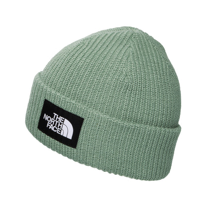 Gorro Beanie niños Salty Forrado Reciclado de The North Face - Salvia