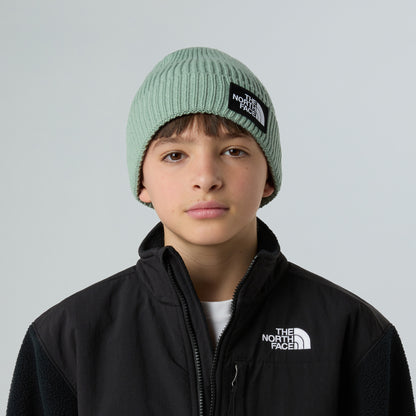 Gorro Beanie niños TNF Box Logo reciclada con vuelta de The North Face - Salvia