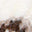Imagen Swatch para el código de producto del sombrero: 740532