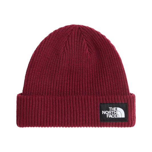 Gorro Beanie Salty Forrado Reciclado de The North Face - Burdeos