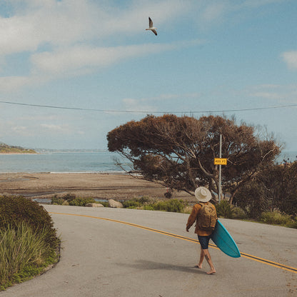 Sombrero Fedora Marcos de paja de Brixton - Natural