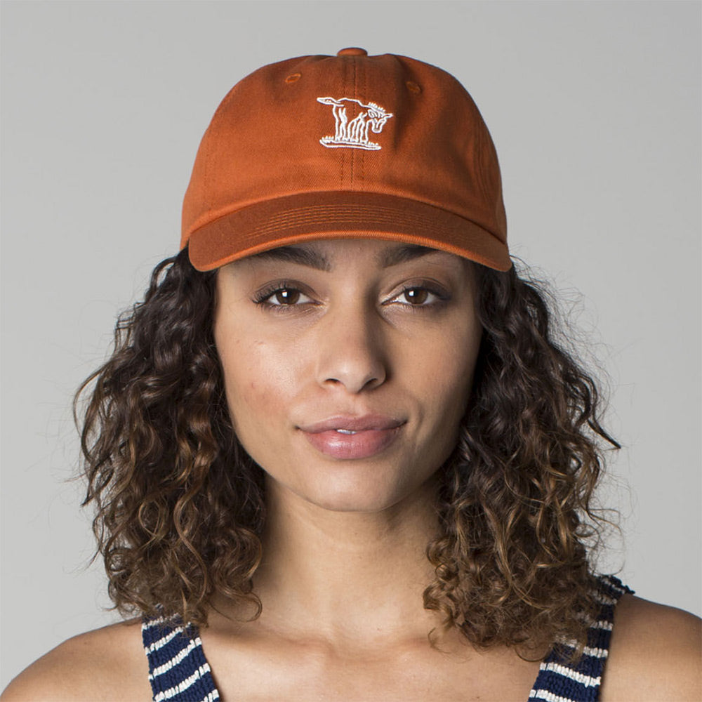 Gorra de béisbol Burro de Brixton - Ocre