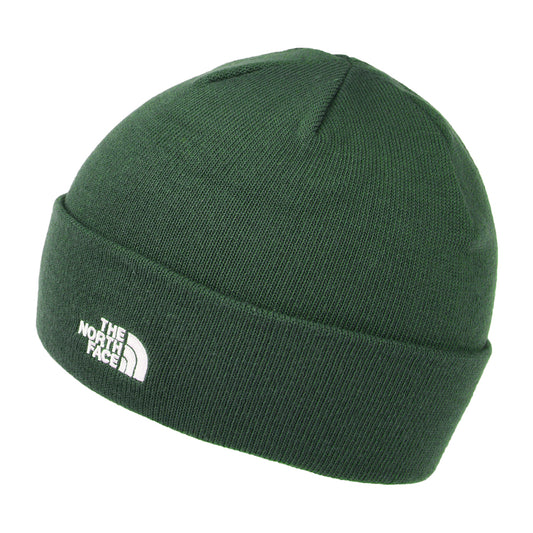 Beanie Hat Norm Shallow de The North Face - Tomillo