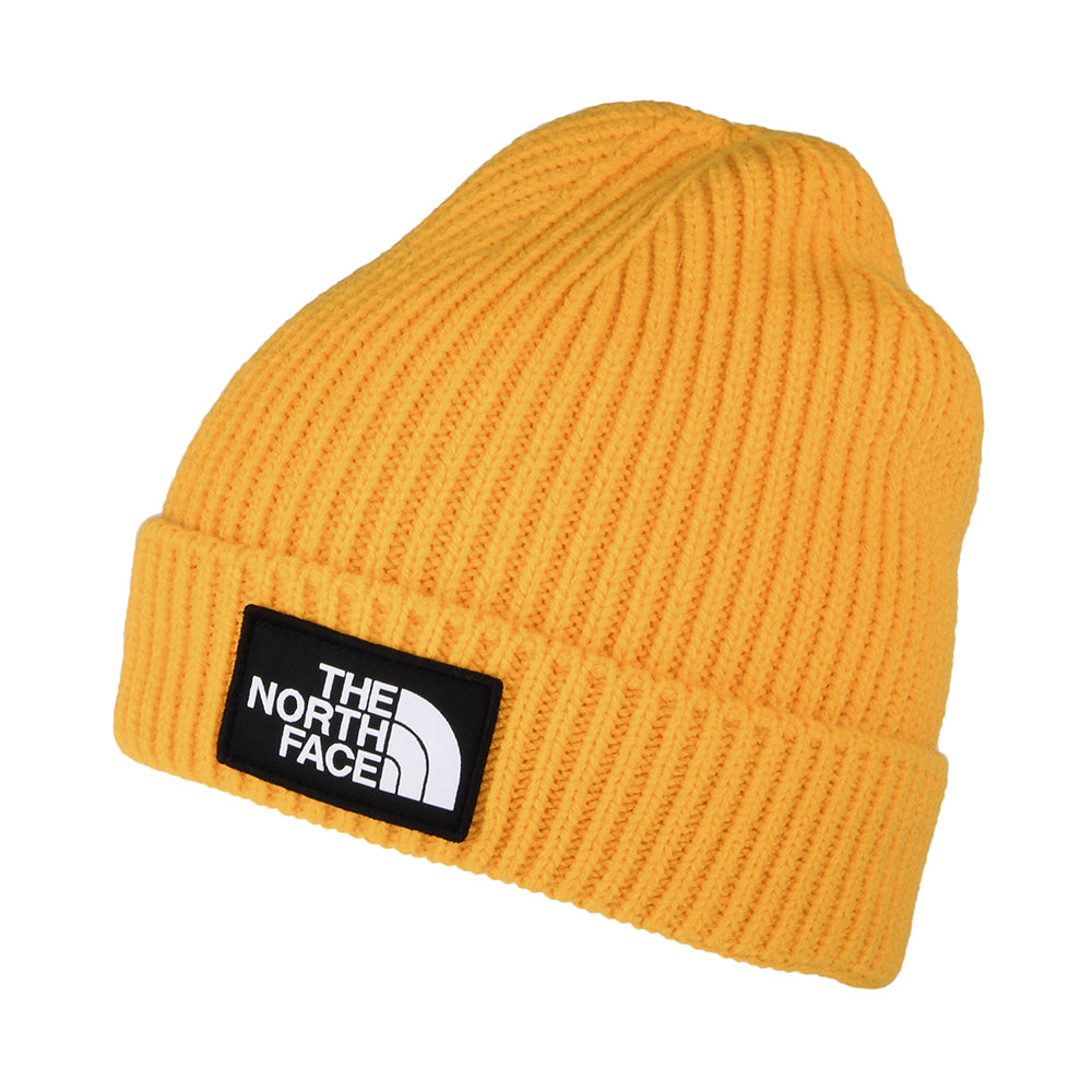 Gorro Beanie niños TNF Box Logo con vuelta de The North Face - Diente de Léon