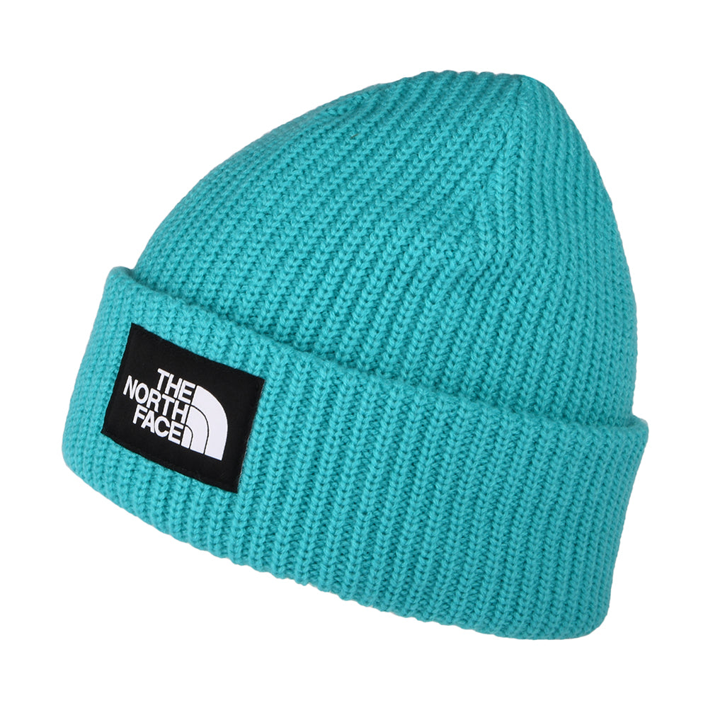 Gorro Beanie Salty Dog II de The North Face - Azul Radiante