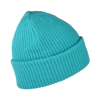 Gorro Beanie Salty Dog II de The North Face - Azul Radiante
