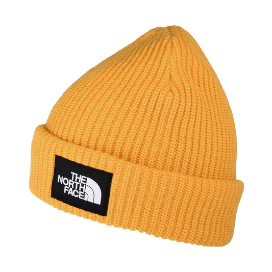 Gorro Beanie Salty Dog II Forrado Reciclado de The North Face - Diente de Léon