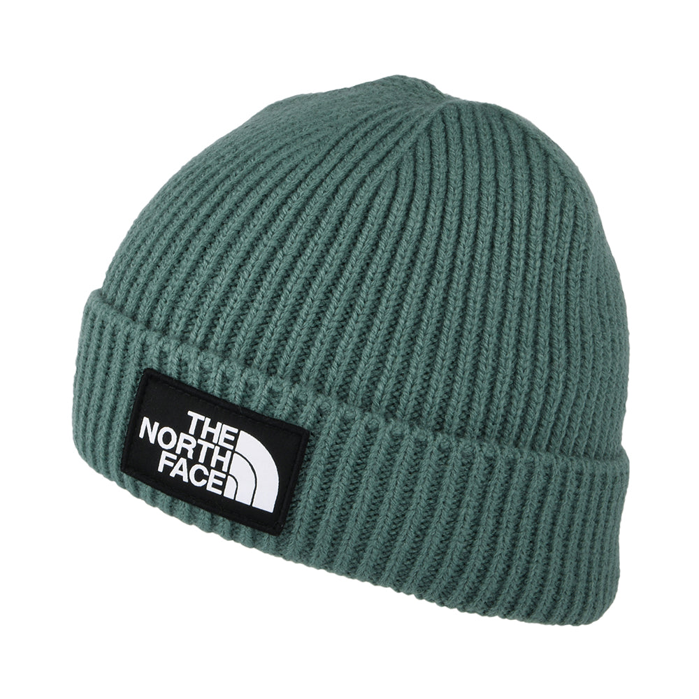 Gorro TNF Logo Box con vuelta de The North Face - Salvia Oscura