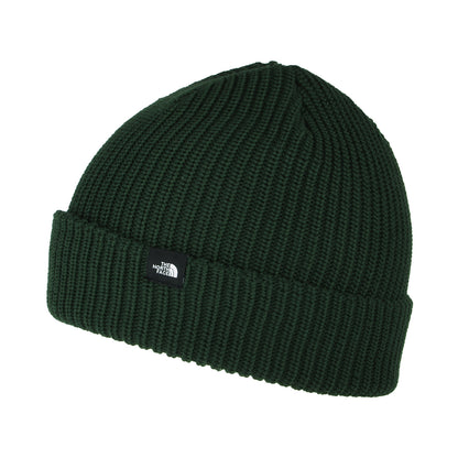 Gorro Beanie TNF reciclado Fisherman de The North Face - Verde Pino